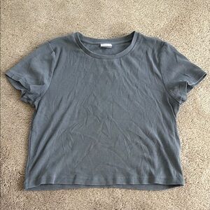 Aritzia Gray Short Sleeve Tee